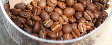 小番茄408