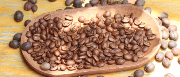 皇后庄园1664